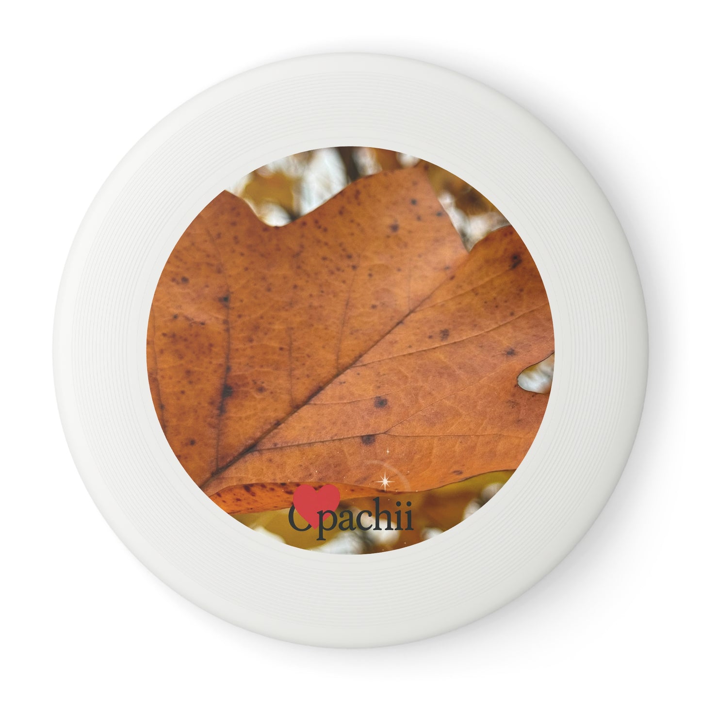 🍃Glide of the Leaf – Nature-Inspired Flying Disc
