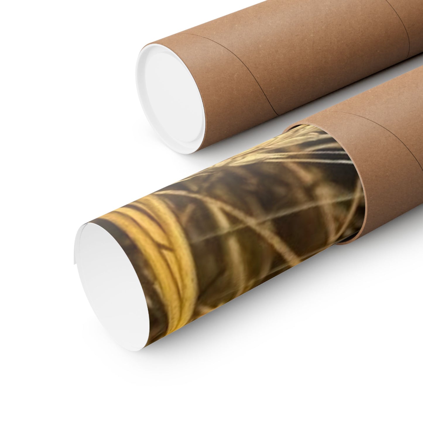 Inspirational Floral Poster, Motivational Wall Art, Positive Quote Decor, Self-Belief Print, Mindfulness Home Decoration