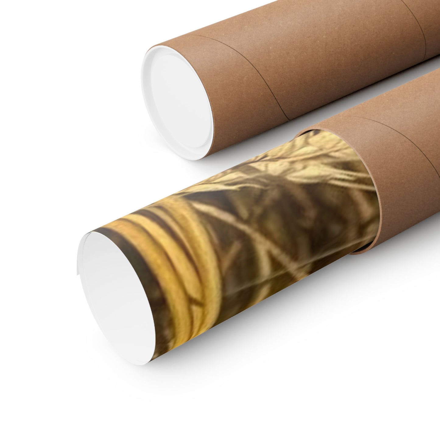 Inspirational Floral Poster, Motivational Wall Art, Positive Quote Decor, Self-Belief Print, Mindfulness Home Decoration