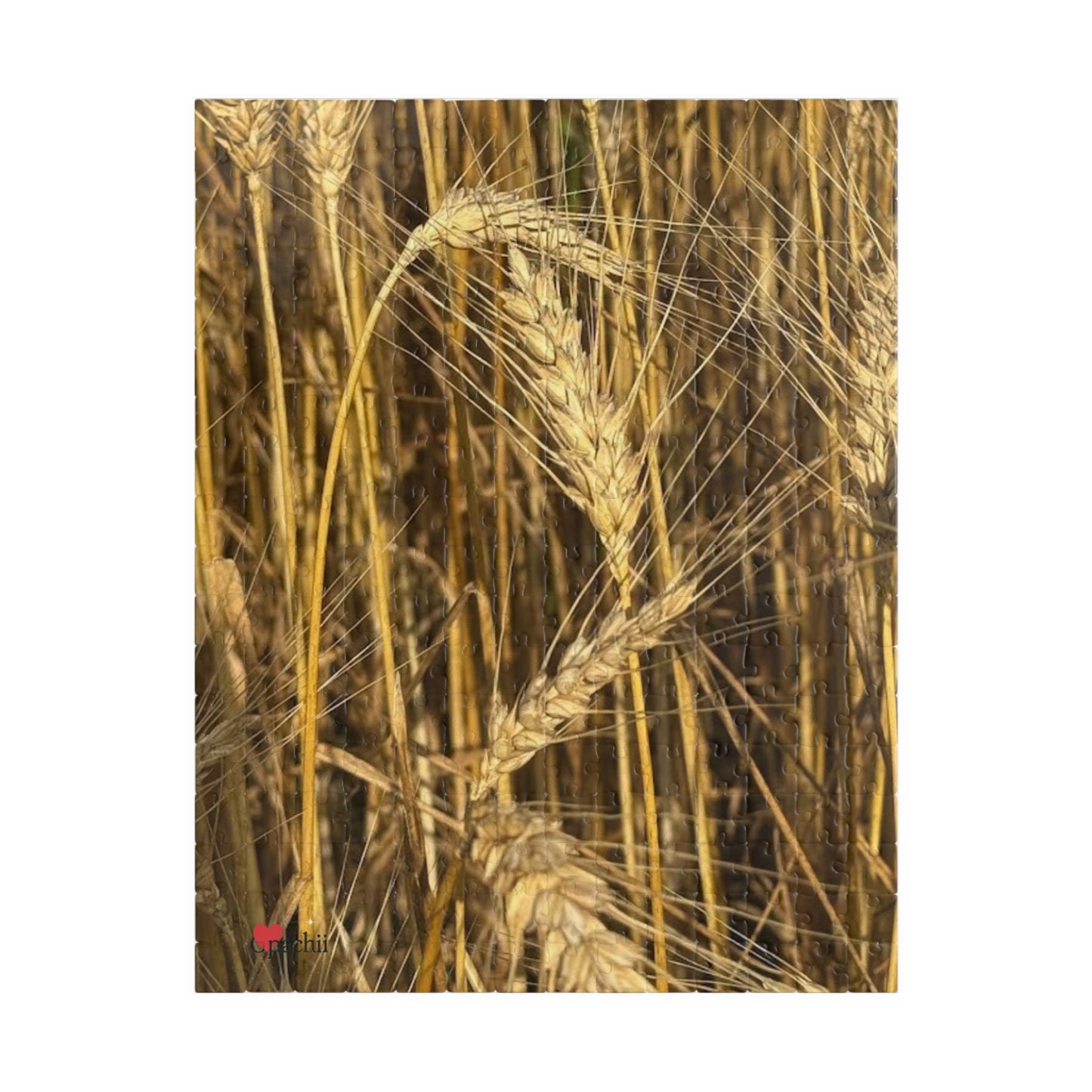 Wheat Field Puzzle - Nature Scene for Relaxation and Family Fun