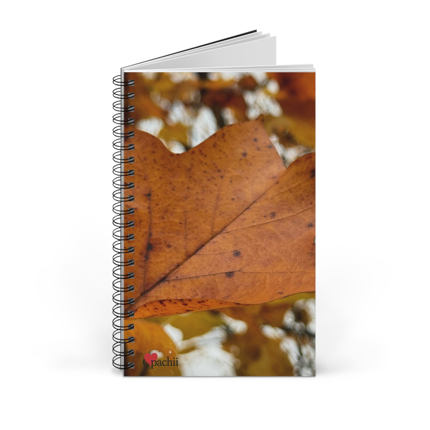 π Stillness in the Season