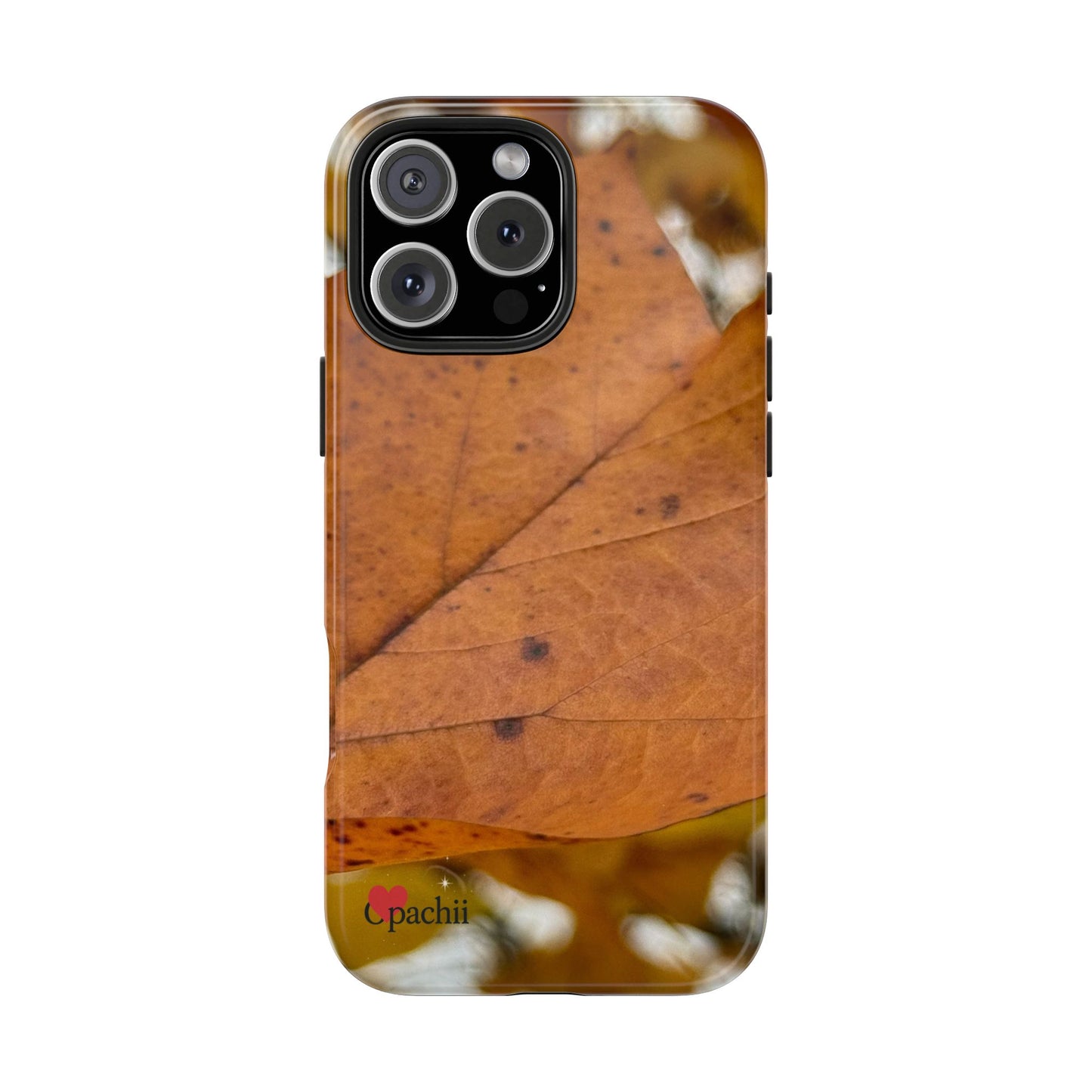 π Leafprint Calm β Autumn Nature Case for iPhone & Samsung