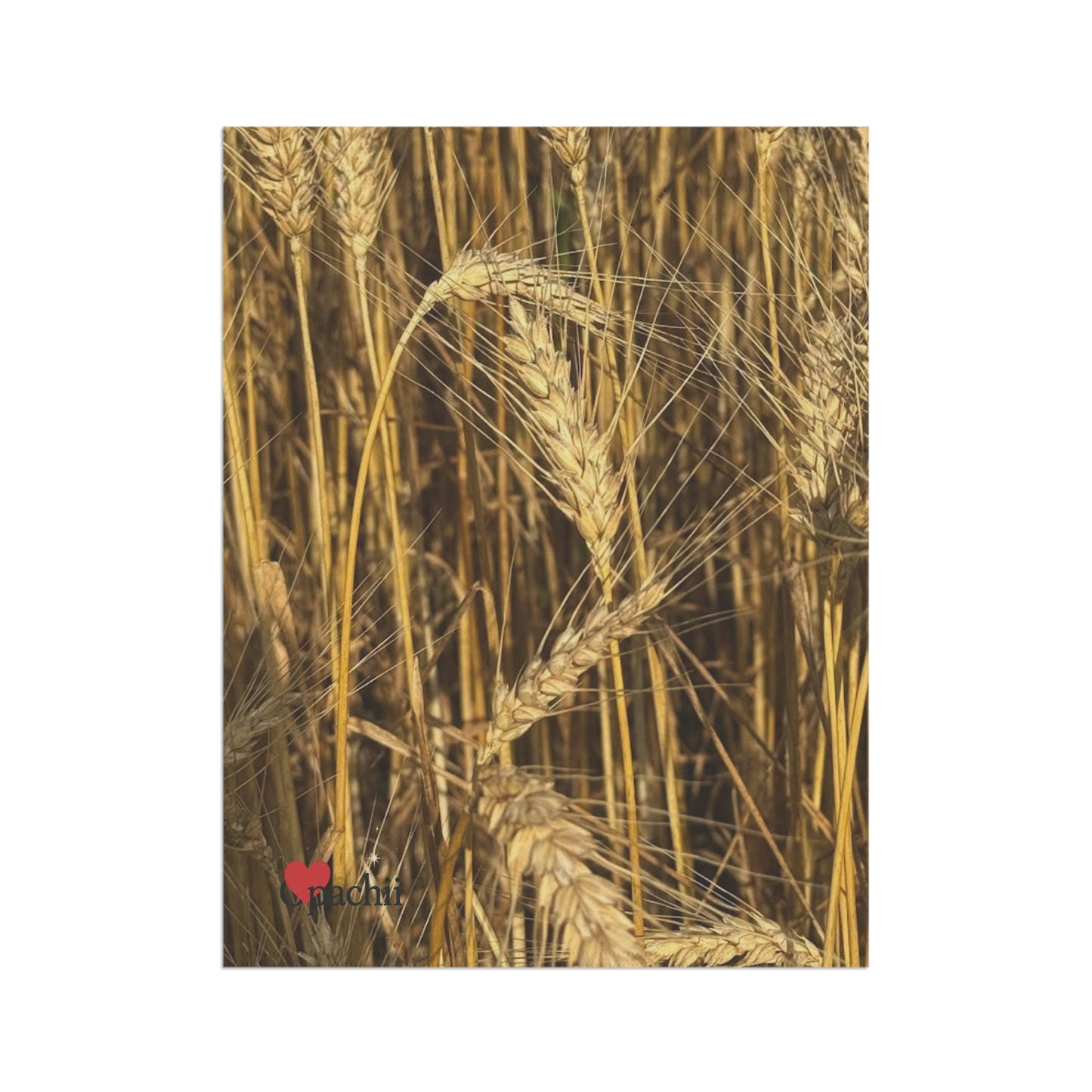 Wheat Banner, Outdoor Decorative Flag, Spring House Decor, Unique Garden Sign for Events, Enthusiast Gift