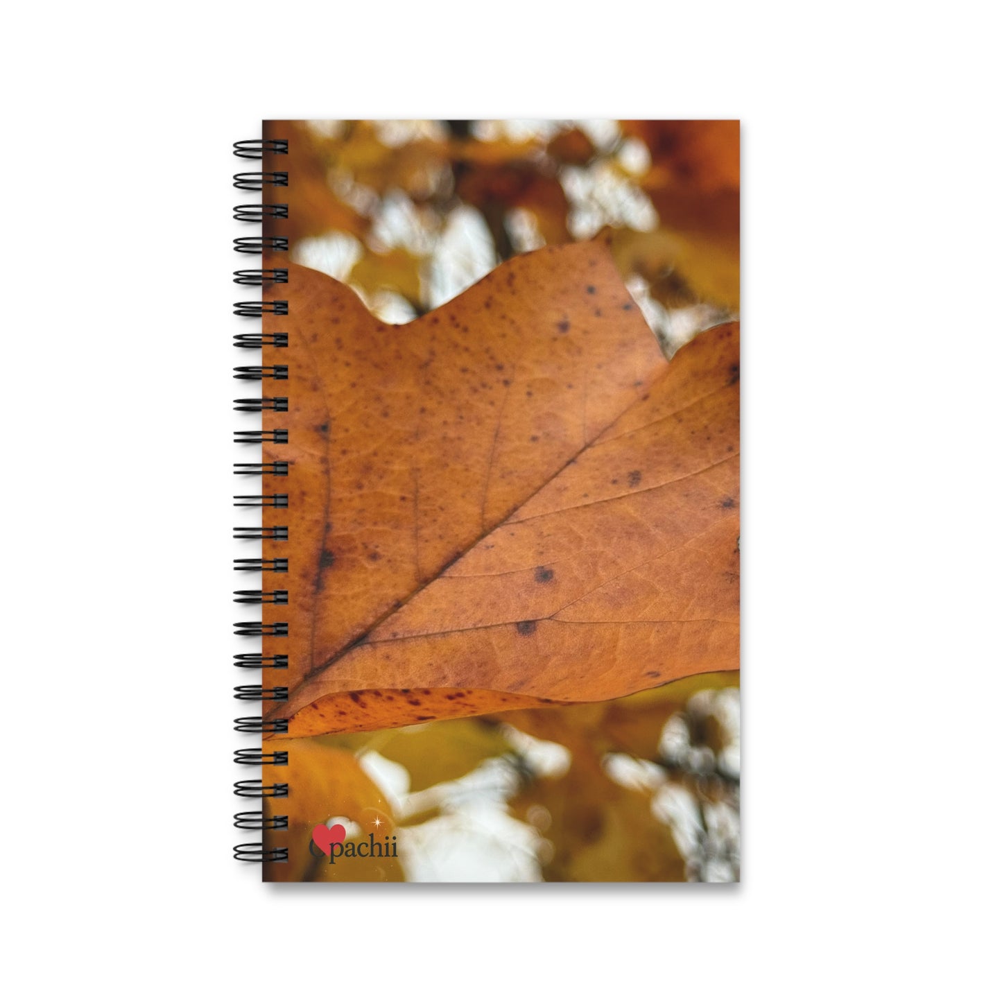 π Stillness in the Season