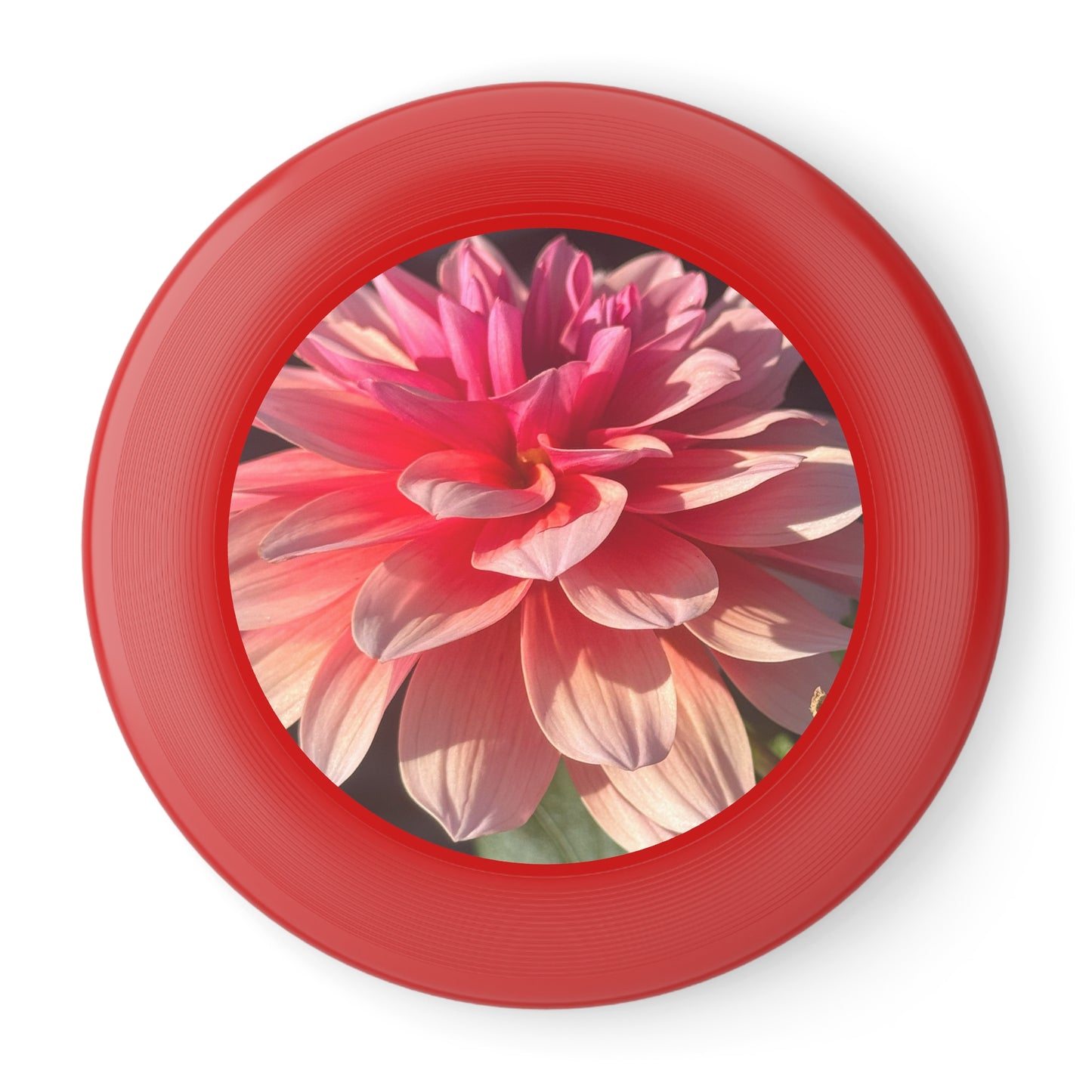 Floral Frisbee with Nature Design - Perfect for Outdoor Fun, Gifts for Friends, Summer Activities, Garden Parties, Recreational Play