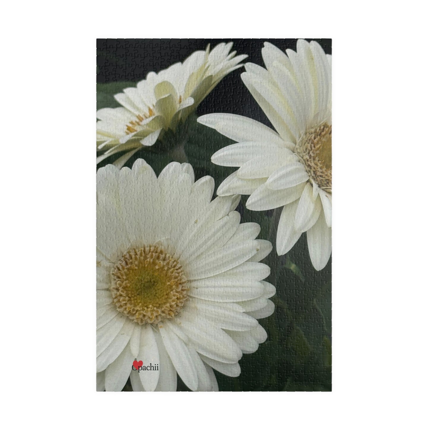 Whispers of White Puzzle - 110, 252, 520, 1014-Piece Options