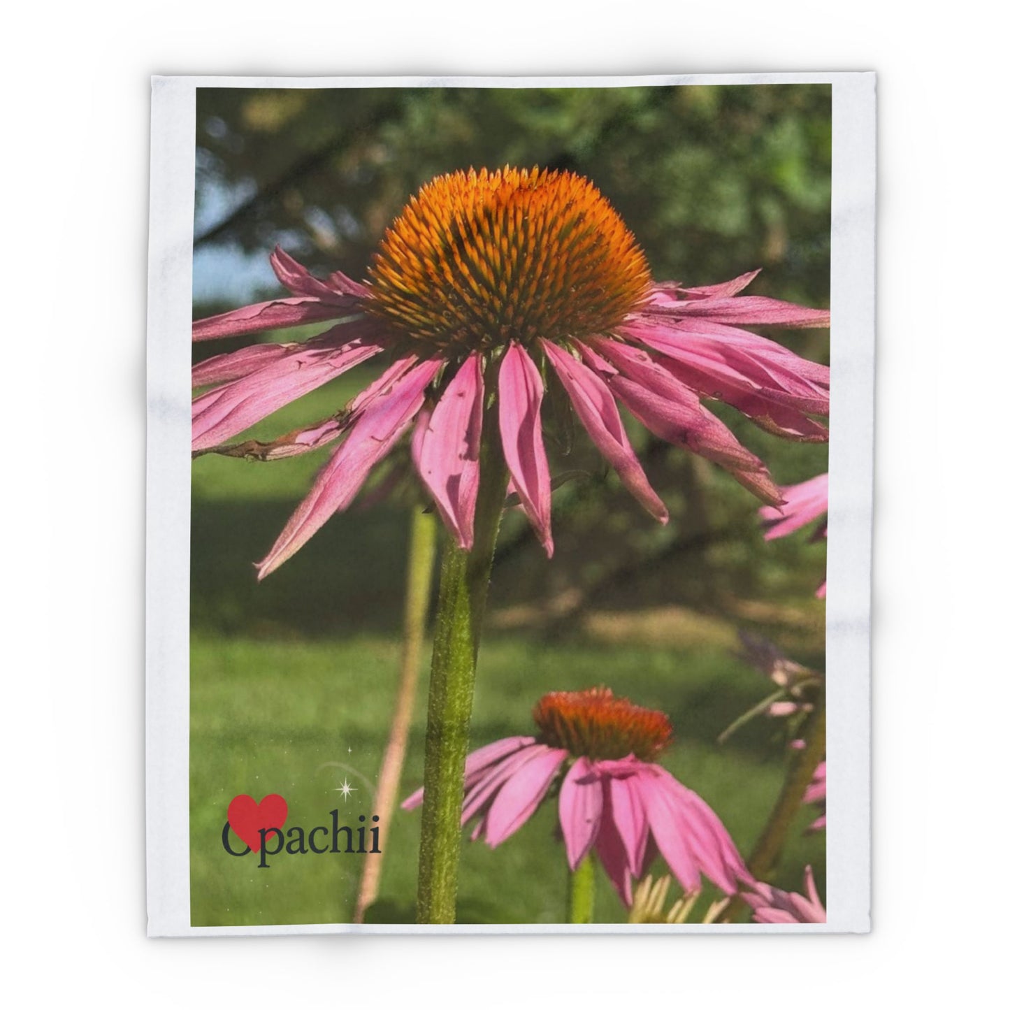 Vibrant Floral Arctic Fleece Blanket | Cozy Throw, Home Decor, Gift for Her, Picnic Blanket, Nature Lover's Accessory