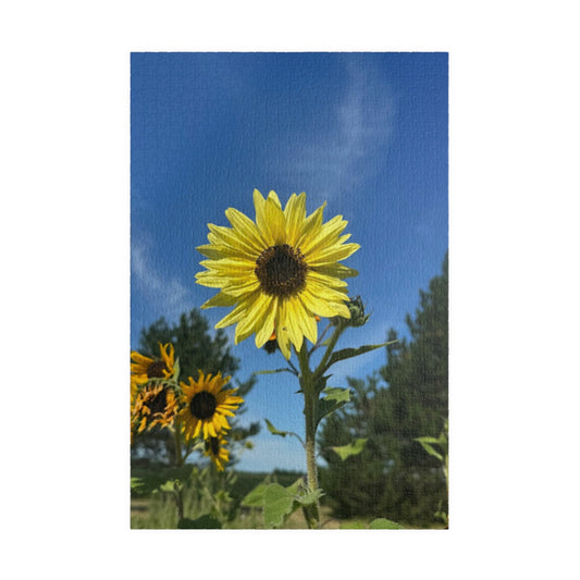 Sunflower Puzzle - 110 to 1014 Pieces - Perfect Gift for Nature Lovers