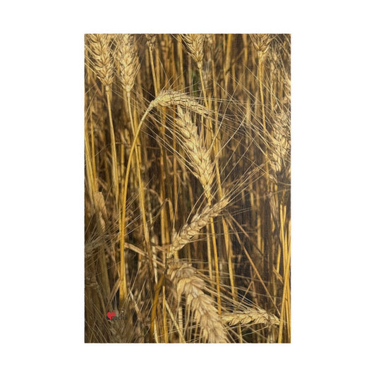 Wheat Field Puzzle - Nature Scene for Relaxation and Family Fun