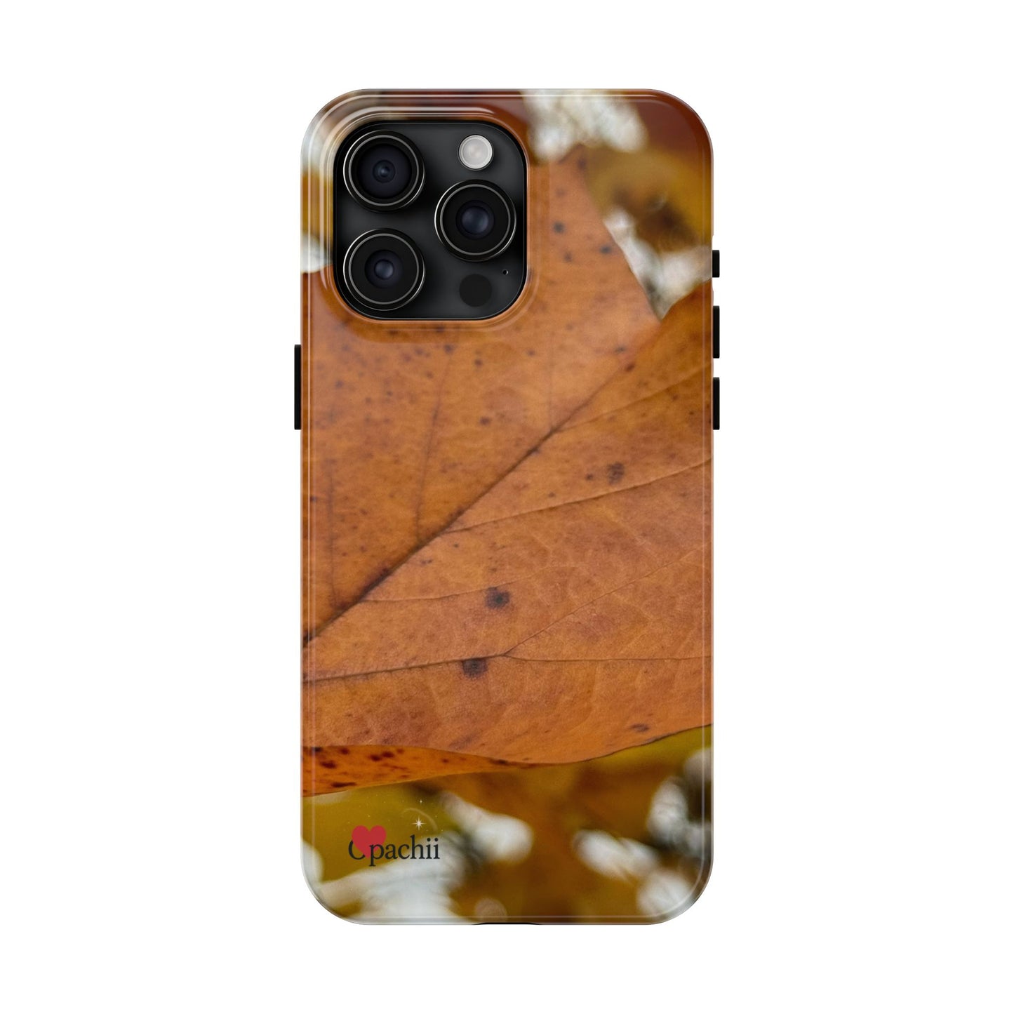 π Leafprint Calm β Autumn Nature Case for iPhone & Samsung