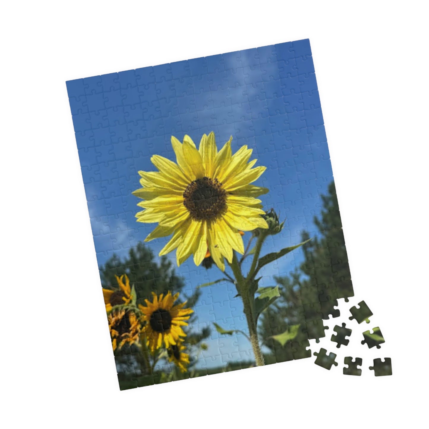 Sunflower Puzzle - 110 to 1014 Pieces - Perfect Gift for Nature Lovers
