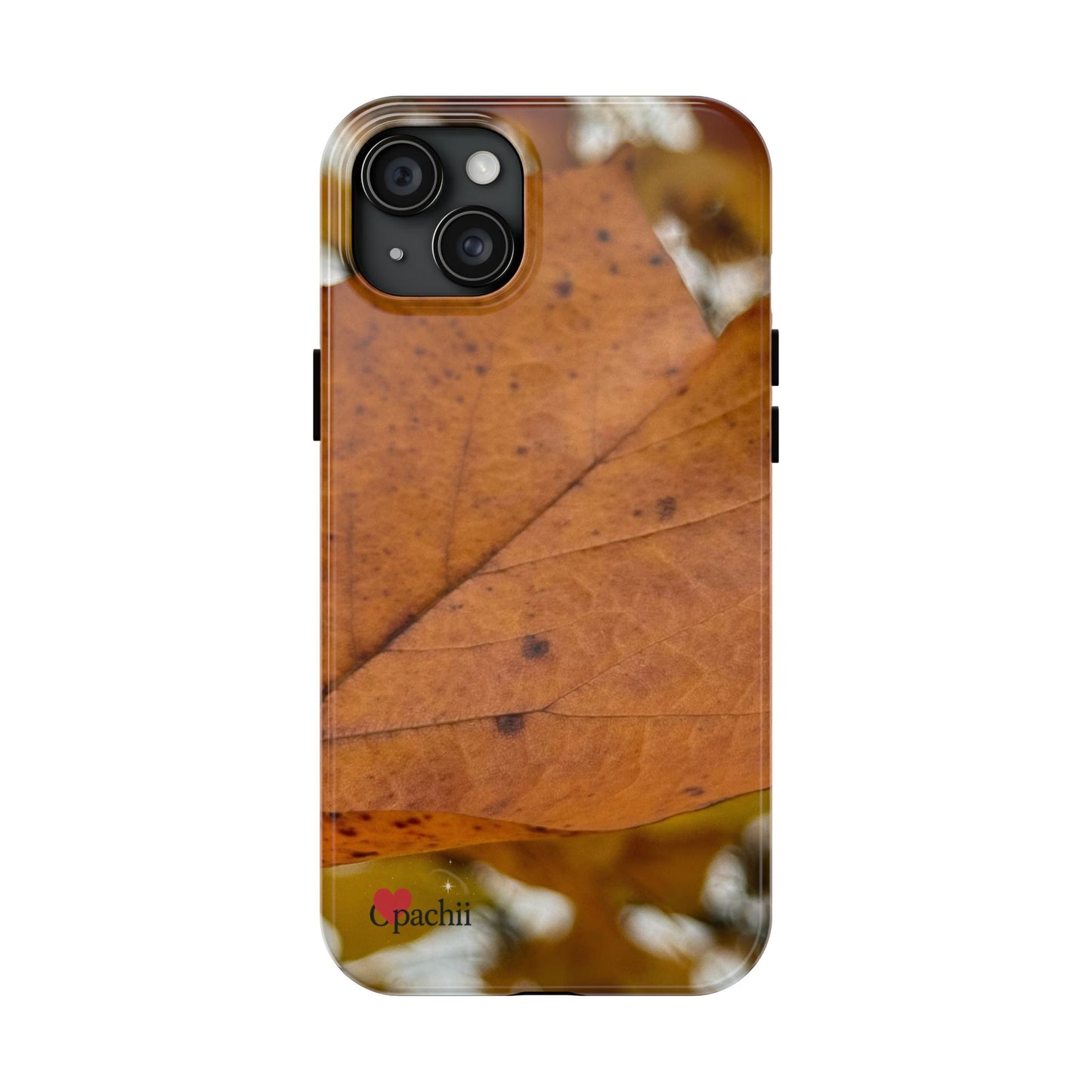 π Leafprint Calm β Autumn Nature Case for iPhone & Samsung