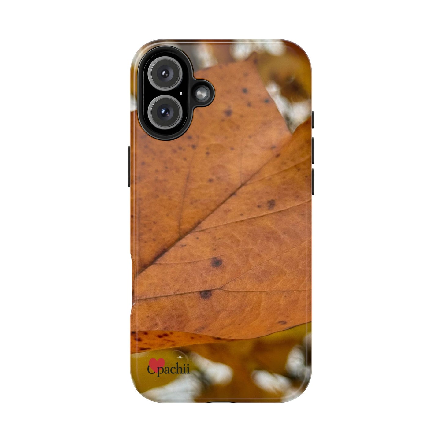 π Leafprint Calm β Autumn Nature Case for iPhone & Samsung
