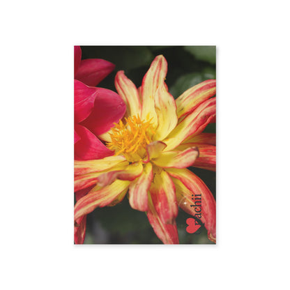 Vibrant Floral Holiday Cards, Unique One-Sided Greeting Cards for Any Occasion, Perfect for Birthdays, Anniversaries, Special Events, [...]