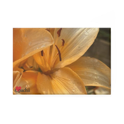 Button Magnets, Decorative Magnets for Home, Kitchen Decor, Unique Gift Idea, Refrigerator Magnets, Set of 1 or 10