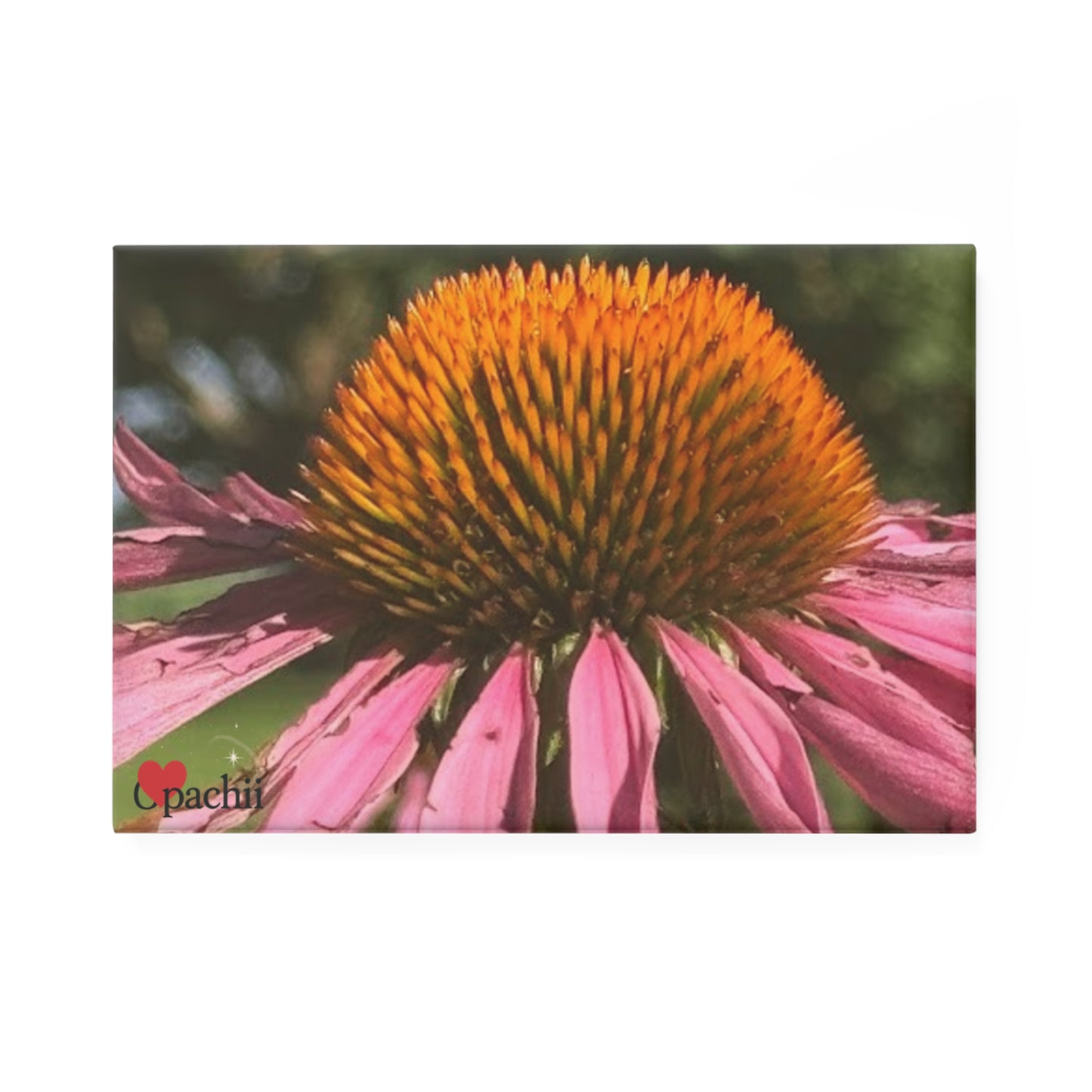 Floral Button Magnets, Decorative Flower Magnets for Home, Kitchen Decor, Unique Gift Idea, Refrigerator Magnets, Set of 1 or 10