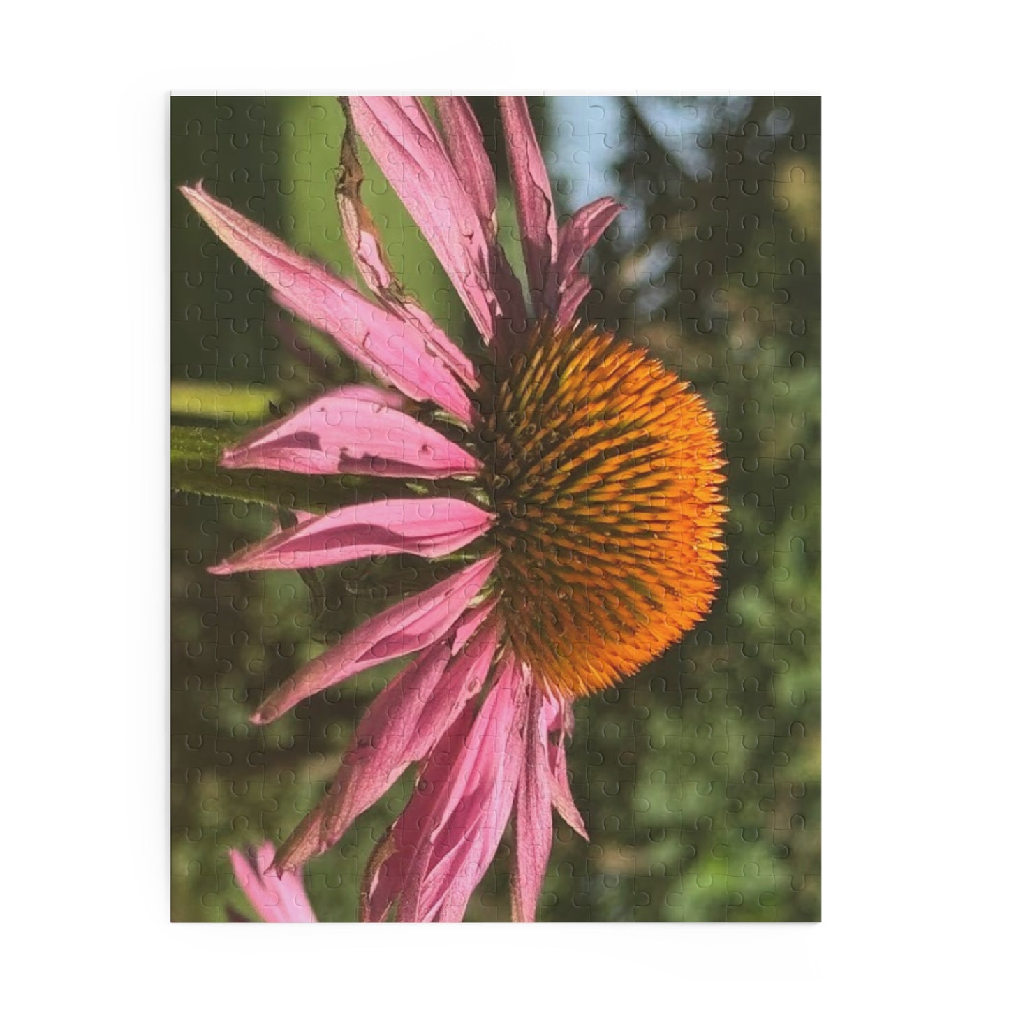 Flower Puzzle with Vibrant Echinacea Design, 120, 252, 500-Piece Jigsaw, Nature Lover Gift, Home Decor, Relaxation Activity, Artsy [...]