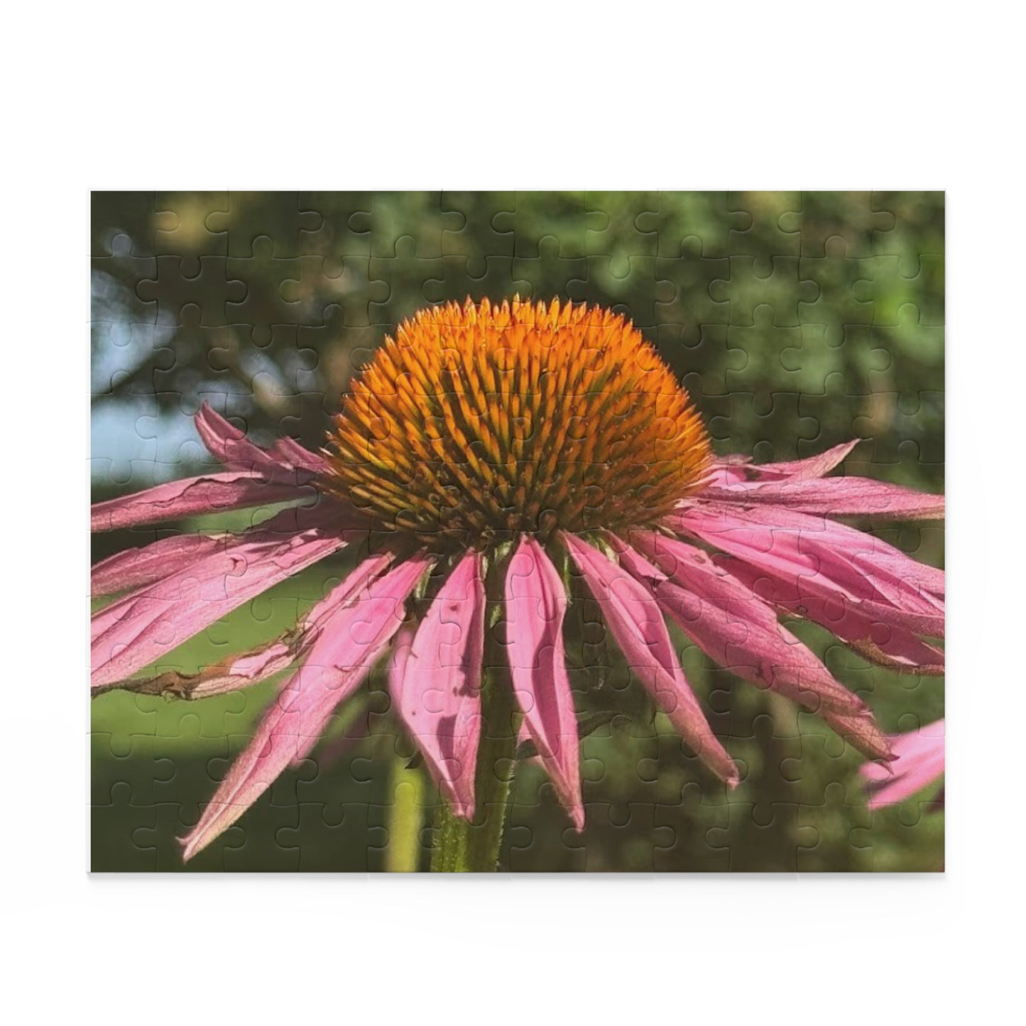 Flower Puzzle with Vibrant Echinacea Design, 120, 252, 500-Piece Jigsaw, Nature Lover Gift, Home Decor, Relaxation Activity, Artsy [...]