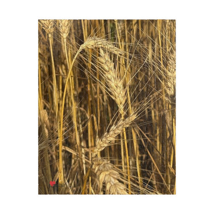Wheat Field Puzzle - Nature Scene for Relaxation and Family Fun