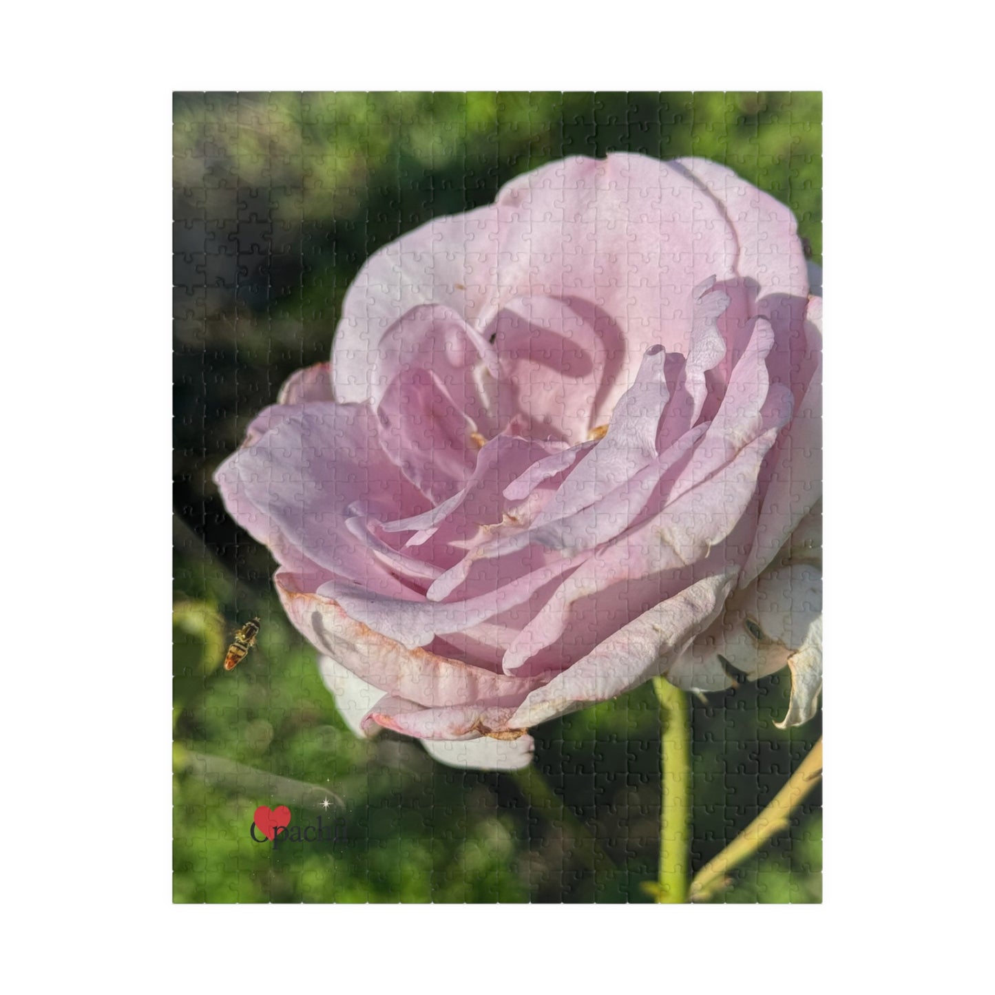 Rose Blossom Puzzle - Stunning Floral Artwork (110, 252, 520, 1014-piece)