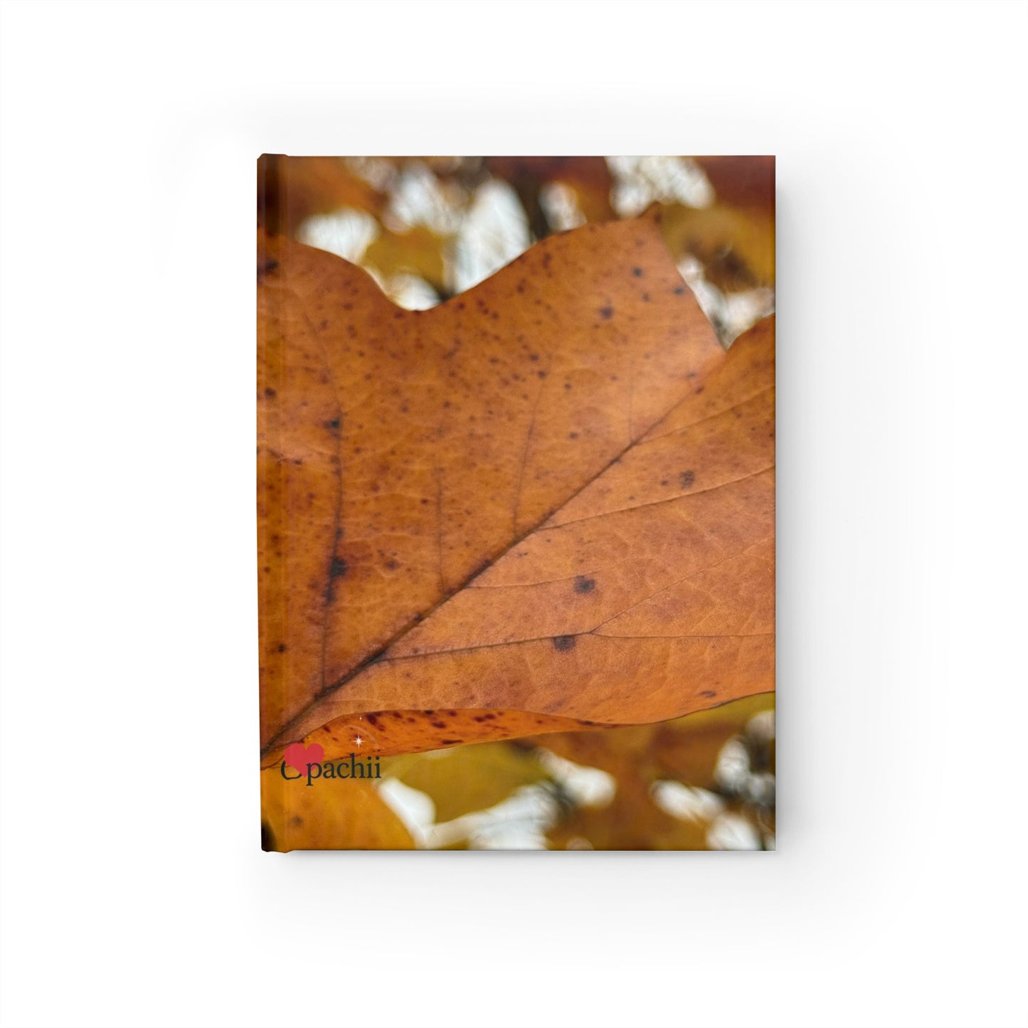 🍂Drift and Dwell Hardcover Journal