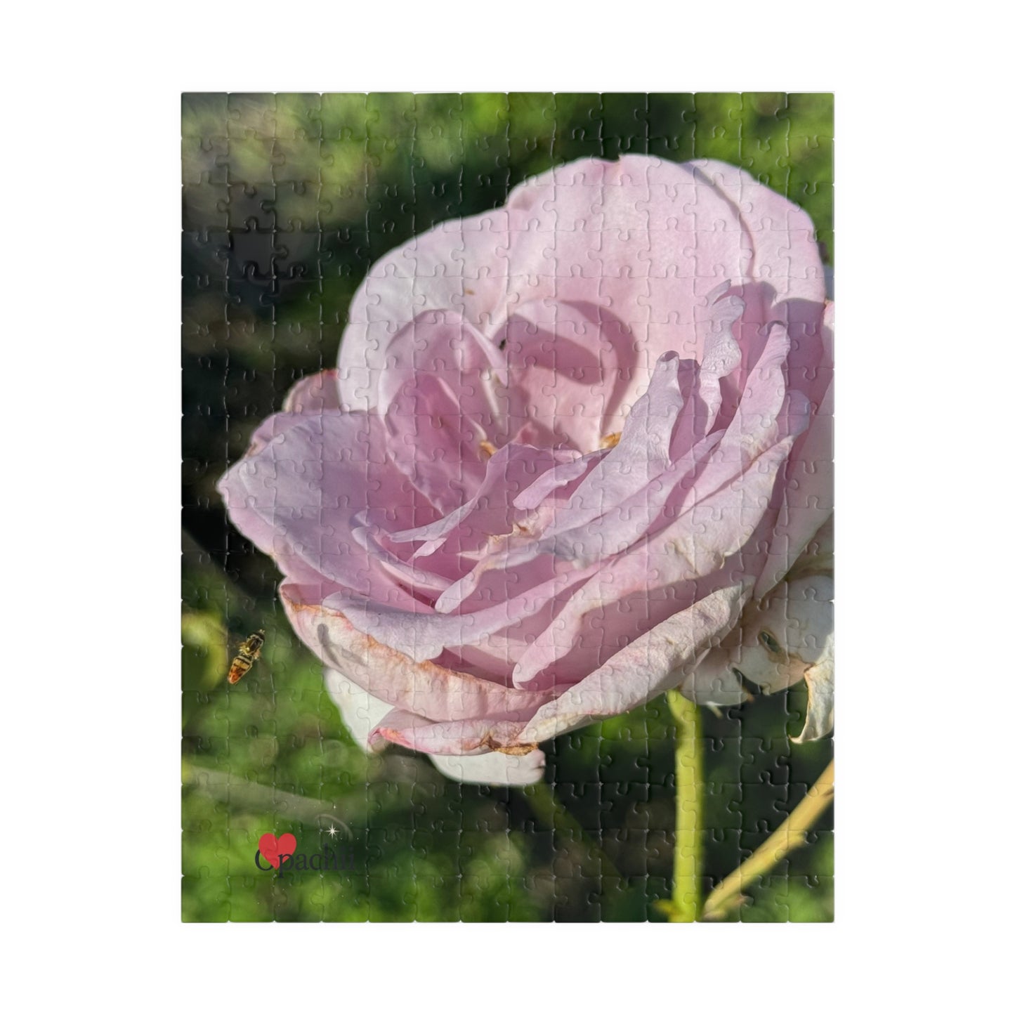 Rose Blossom Puzzle - Stunning Floral Artwork (110, 252, 520, 1014-piece)