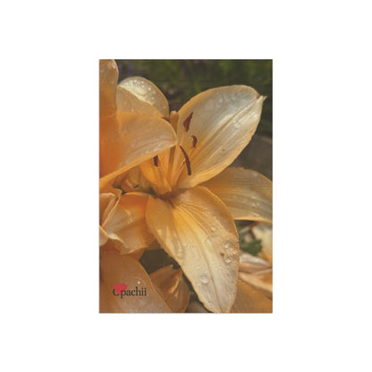 Banner, Outdoor Decorative Flag, Spring House Decor, Unique Garden Sign for Events, Enthusiast Gift