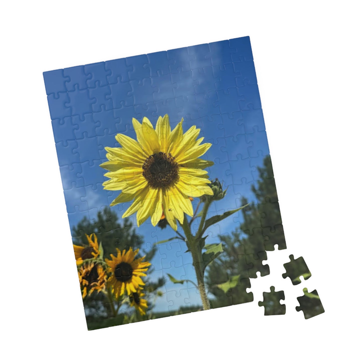 Sunflower Puzzle - 110 to 1014 Pieces - Perfect Gift for Nature Lovers