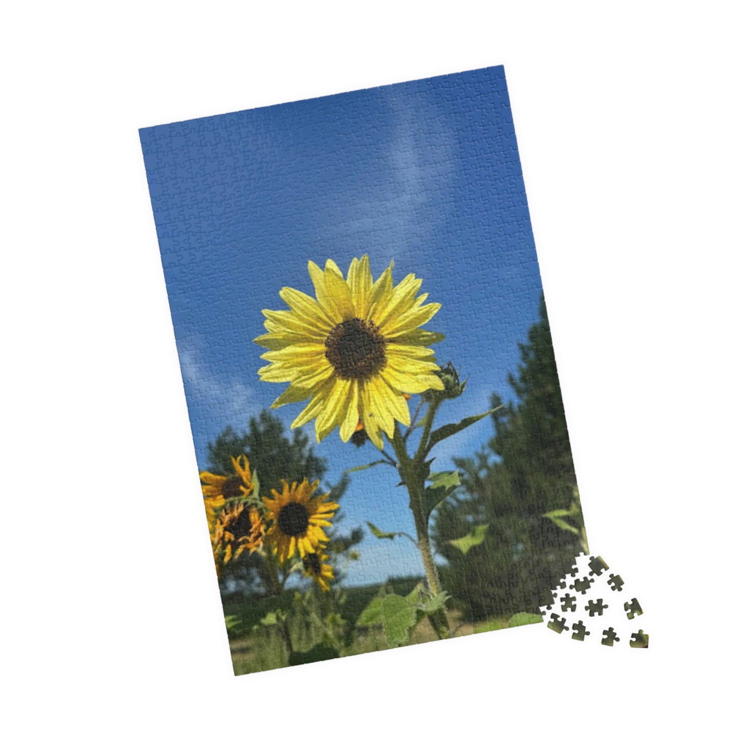 Sunflower Puzzle - 110 to 1014 Pieces - Perfect Gift for Nature Lovers