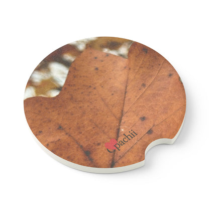 🚗Still Fall – Nature-Inspired Car Coaster