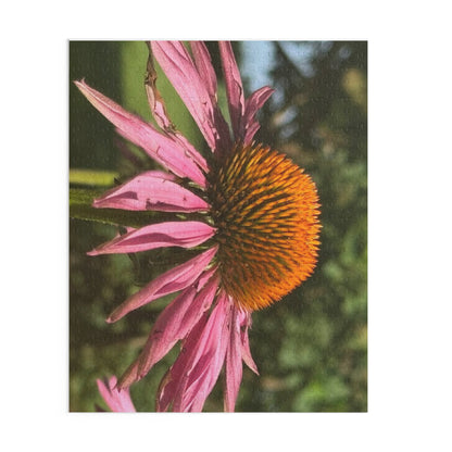 Flower Puzzle with Vibrant Echinacea Design, 120, 252, 500-Piece Jigsaw, Nature Lover Gift, Home Decor, Relaxation Activity, Artsy [...]