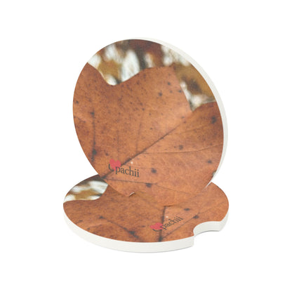 🚗Still Fall – Nature-Inspired Car Coaster