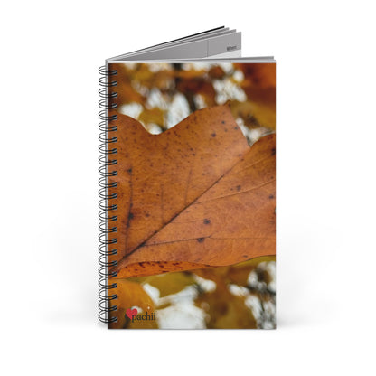 🍂 Stillness in the Season