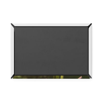 Floral Button Magnet Set | Vibrant Nature-Inspired Decor for Home, Gifts, Mother's Day, Botanical Lovers, Fridge, Office