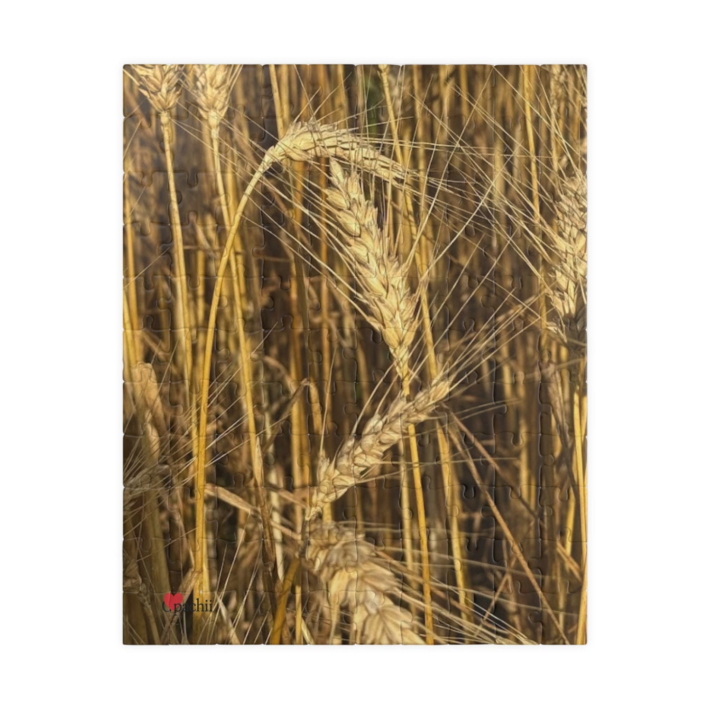 Wheat Field Puzzle - Nature Scene for Relaxation and Family Fun