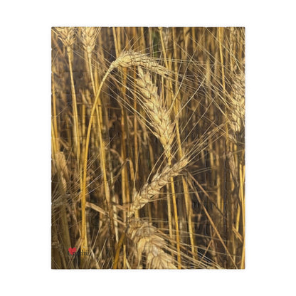 Wheat Field Puzzle - Nature Scene for Relaxation and Family Fun