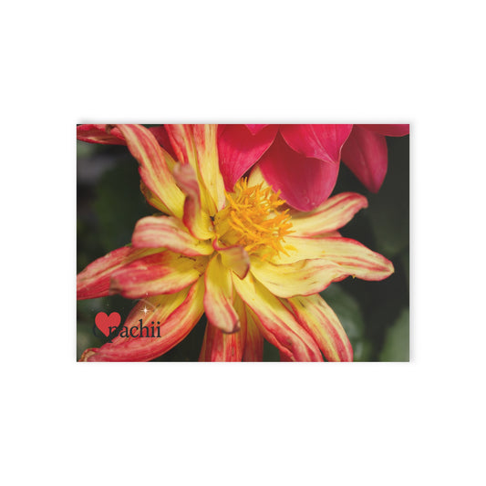 Vibrant Floral Holiday Cards, Unique One-Sided Greeting Cards for Any Occasion, Perfect for Birthdays, Anniversaries, Special Events, [...]