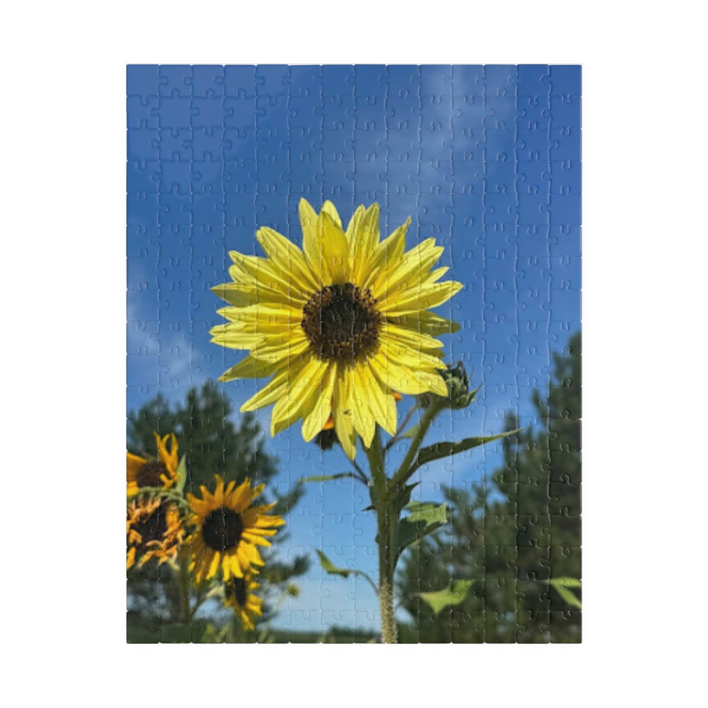 Sunflower Puzzle - 110 to 1014 Pieces - Perfect Gift for Nature Lovers