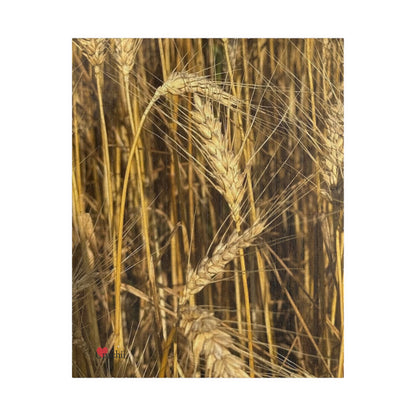 Wheat Field Puzzle - Nature Scene for Relaxation and Family Fun