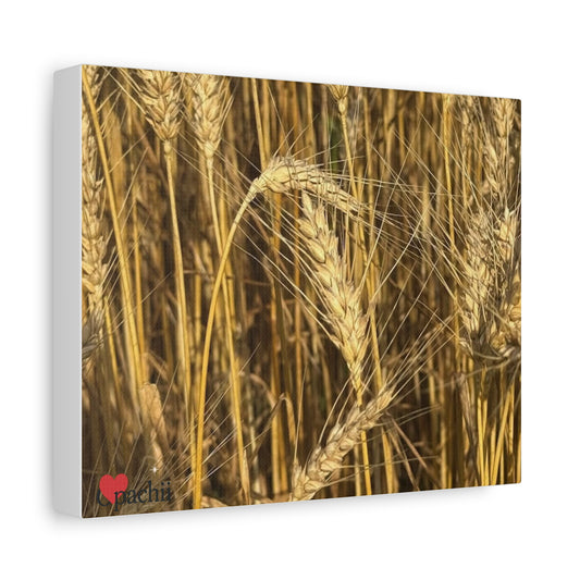 Floral Wall Art Canvas, Flower Decor, Home Decoration, Nature Photography, Gift for Flower Lovers, Colorful Canvas Print