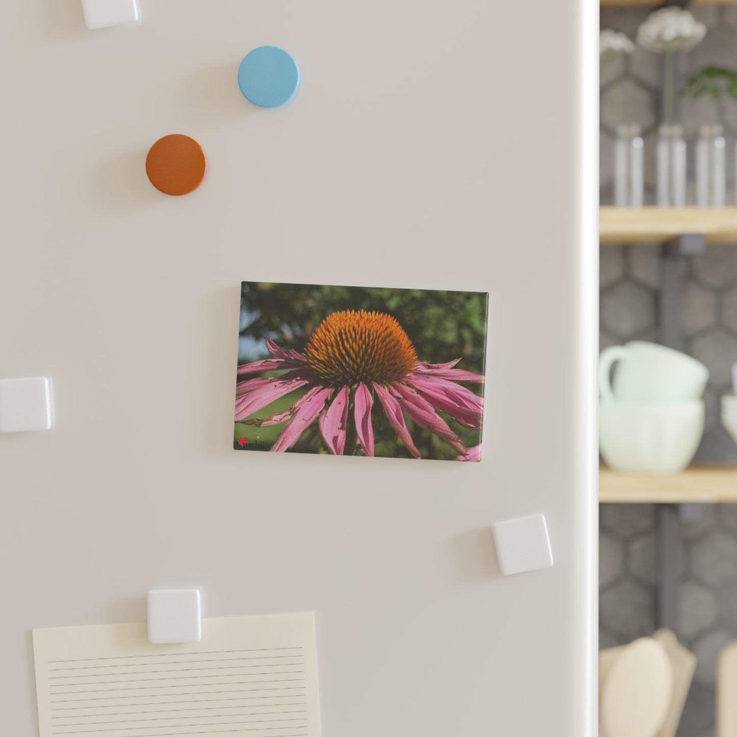 Floral Button Magnet Set | Vibrant Nature-Inspired Decor for Home, Gifts, Mother's Day, Botanical Lovers, Fridge, Office